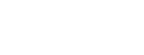 VATSIM